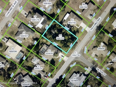 NICE 80X125 LOT AREA OF NICE HOMES CONVENIENT LOCATION AND QUIET - photo 1
