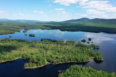 Lake Acreage For Sale in Sapling Twp, Maine