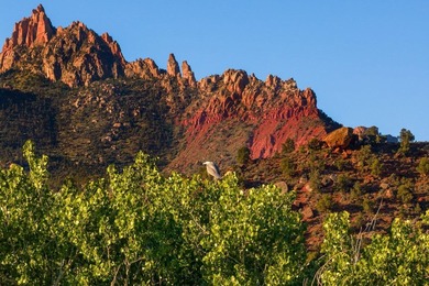 Prime 15-Acre Parcel in Springdale - Unmatched Location & Scenic - photo 31