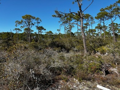 Excellent opportunity to purchase this acre Lot in a peaceful - photo 4