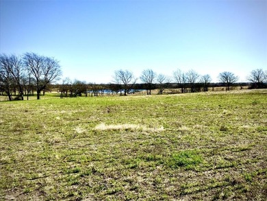 (private lake, pond, creek) Acreage For Sale in Ennis Texas