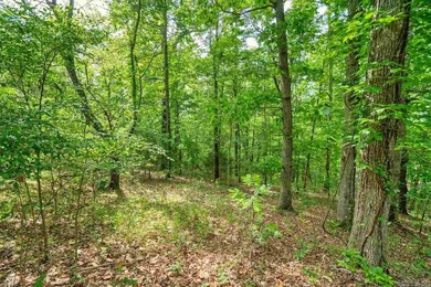 Lake Hamilton Lot For Sale in Hot Springs Arkansas