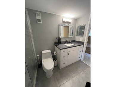 Totally renovated gorgeous Lancaster model in building 32 of - photo 32