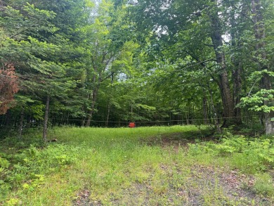 Lake Lot For Sale in Brownville, Maine