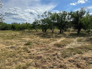 Lake Brownwood Lot For Sale in Brownwood Texas