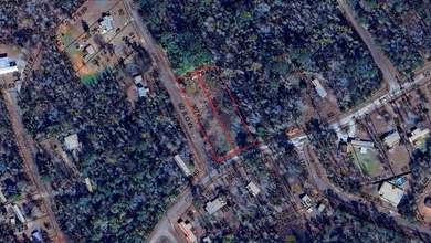 Lake Lot For Sale in Abbeville, Alabama