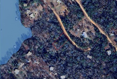 Lake Eufaula / Walter F George Reservoir Lot For Sale in Abbeville Alabama