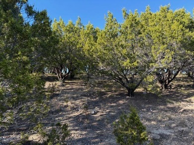 Excellent two acre lot in The Hills subdision at the north end - photo 2