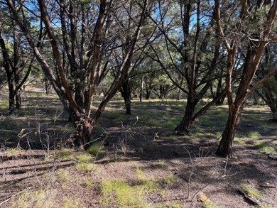 Excellent two acre lot in The Hills subdision at the north end - photo 3