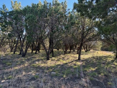 Excellent two acre lot in The Hills subdision at the north end - photo 4