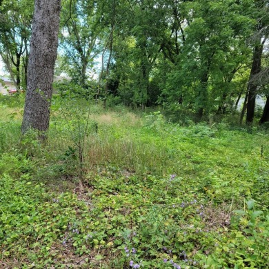 Bangs Lake Lot For Sale in Wauconda Illinois