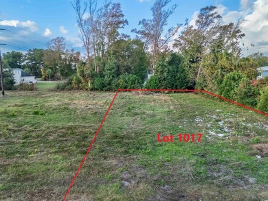 Check out this land available in Atlantic Beach - just a few - photo 6