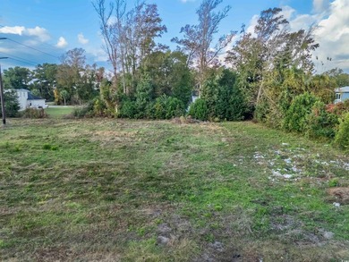 Check out this land available in Atlantic Beach - just a few - photo 7