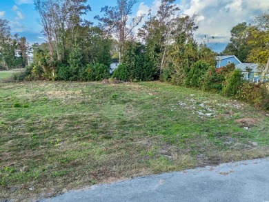 Check out this land available in Atlantic Beach - just a few - photo 8
