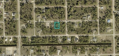 A VACANT LOT IN LEHIGH ACRES IN LEE - photo 2