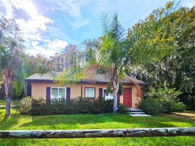 Lake Home For Sale in Land O Lakes, Florida
