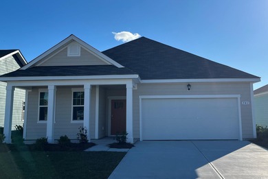 (private lake, pond, coastal) Home For Sale in Longs South Carolina