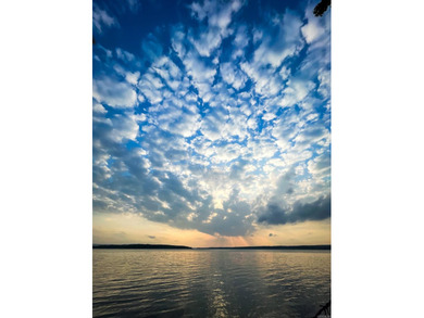 It really doesn't get better than this-one of the best lakefront - photo 49