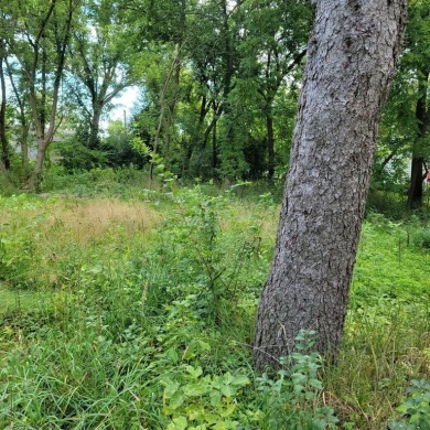 Bangs Lake Lot For Sale in Wauconda Illinois