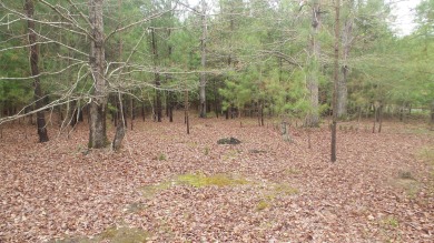 Strom Thurmond / Clarks Hill Lake Lot For Sale in Tignall Georgia