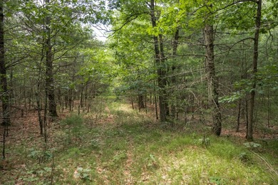 Whether you're looking to hunt, fish, relax, or simply escape - photo 1