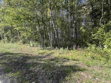 Lake Lot Sale Pending in Clare, Michigan