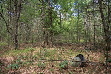 Whether you're looking to hunt, fish, relax, or simply escape - photo 10