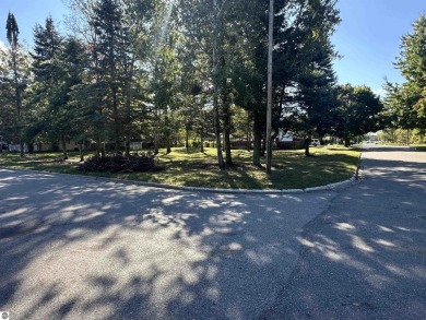 Lake Shamrock Lot For Sale in Clare Michigan