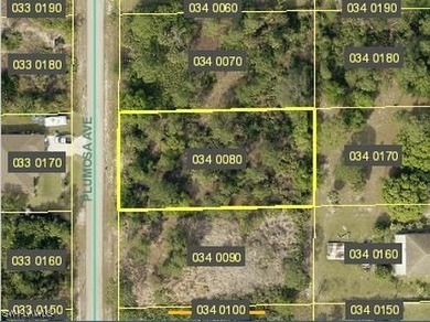 Lehigh Acres Area Lot For Sale in Lehigh Acres Florida