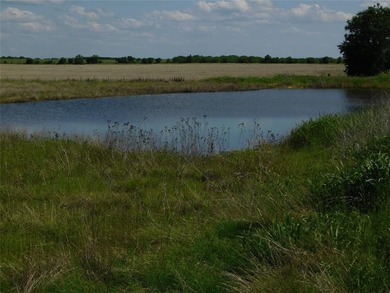 (private lake, pond, creek) Acreage For Sale in Cross Plains Texas
