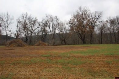 Lake Lot For Sale in Flippin, Arkansas