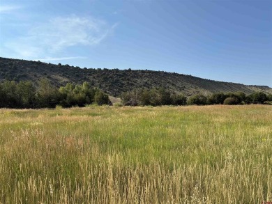 (private lake, pond, creek) Lot For Sale in La Jara Colorado