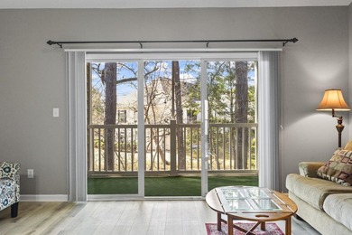 ~Charming Condo in the Established Community of Village at The - photo 19