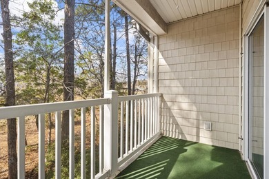 ~Charming Condo in the Established Community of Village at The - photo 23