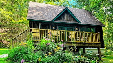 Lake Home For Sale in Long Eddy, New York