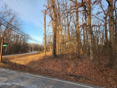 Vacant lot located at the corner of Ivy Brook Lane and Lakeview - photo 2