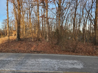Vacant lot located at the corner of Ivy Brook Lane and Lakeview - photo 4
