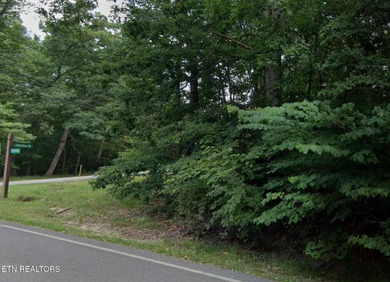 Vacant lot located at the corner of Ivy Brook Lane and Lakeview - photo 5