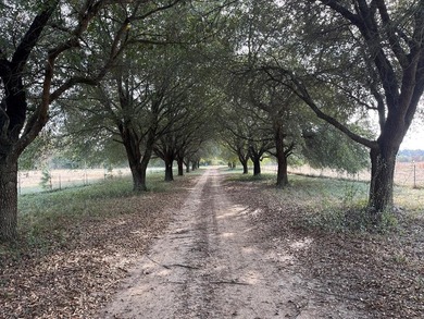 Lake Lot For Sale in Abbeville, Alabama