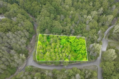 This is the perfect lot for your dream home! Discover an - photo 1