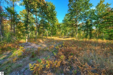 (private lake, pond, creek) Acreage For Sale in Honor Michigan