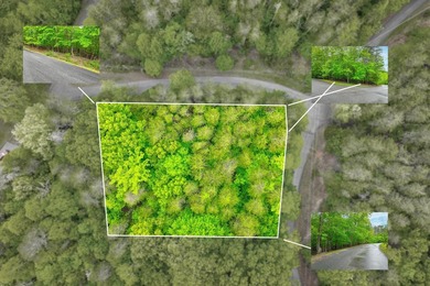 This is the perfect lot for your dream home! Discover an - photo 2