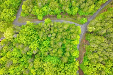 This is the perfect lot for your dream home! Discover an - photo 3