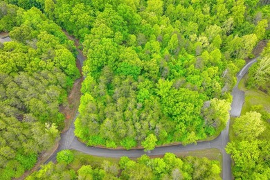 This is the perfect lot for your dream home! Discover an - photo 4