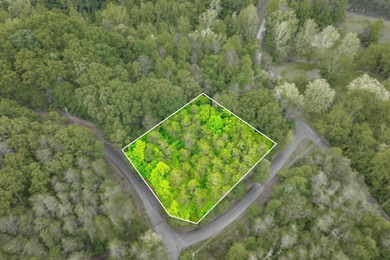 This is the perfect lot for your dream home! Discover an - photo 5