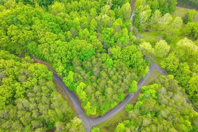 This is the perfect lot for your dream home! Discover an - photo 6