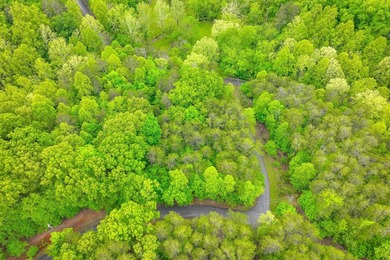 This is the perfect lot for your dream home! Discover an - photo 7