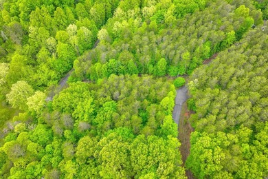 This is the perfect lot for your dream home! Discover an - photo 8