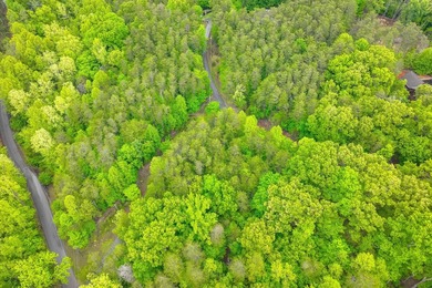This is the perfect lot for your dream home! Discover an - photo 9