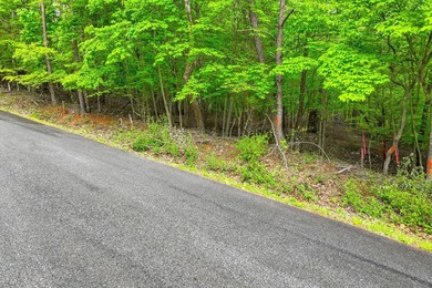 This is the perfect lot for your dream home! Discover an - photo 10